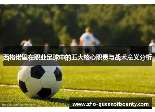 西格诺里在职业足球中的五大核心职责与战术意义分析