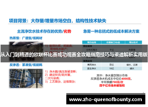 从入门到精通的欧联杯比赛成功观赛全攻略指南技巧与渠道解析实用版