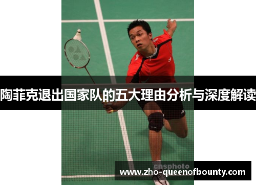 陶菲克退出国家队的五大理由分析与深度解读